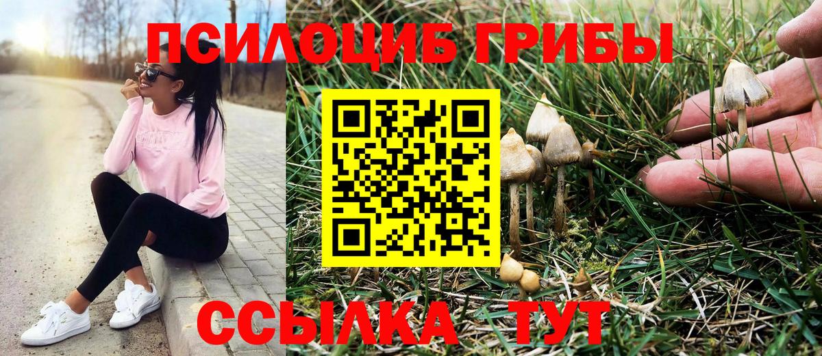 Галлюциногенные грибы ЛСД Ефремов