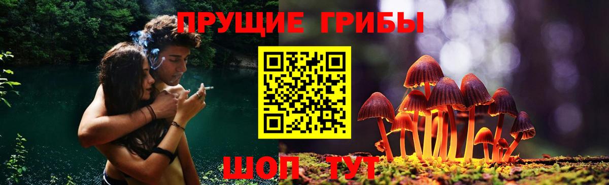 Псилоцибиновые грибы прущие грибы  Вход с VPN  Ефремов  где найти   Галлюциногенные грибы Magic Shrooms 